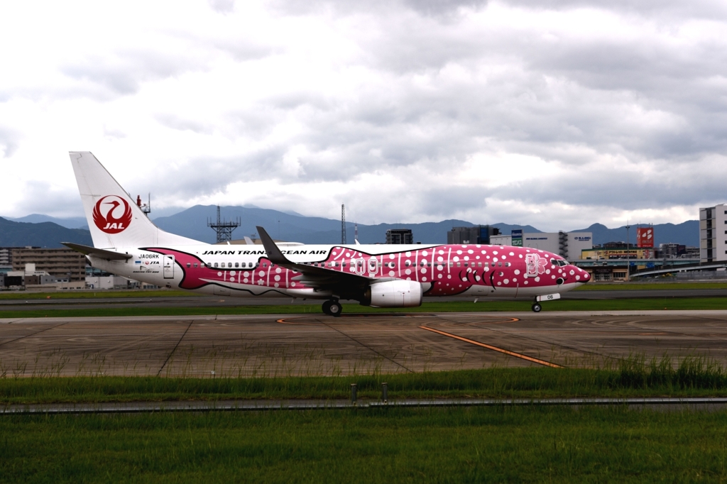 JAL 1197