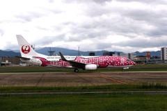 JAL 1197