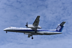 ANA 939