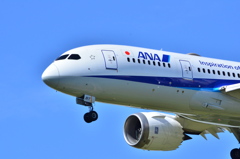 ANA 263