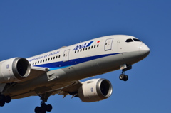 ANA 478