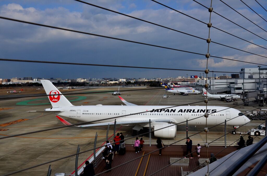 JAL 756