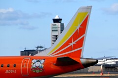 「痛みもわかる人となる」 FDA313