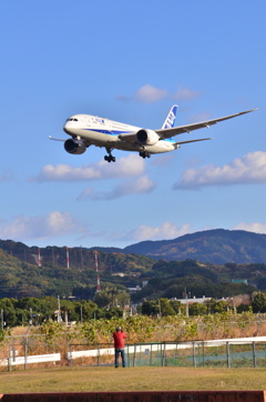 ANA 384