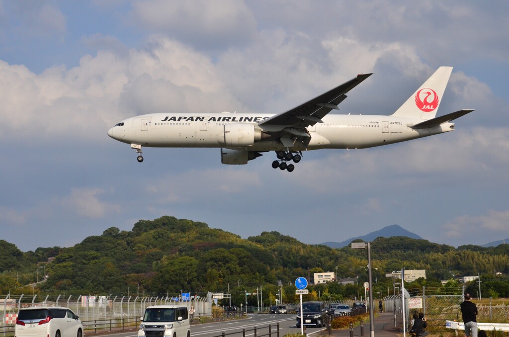 JAL 391