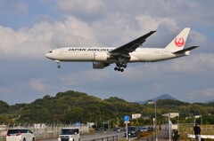JAL 391