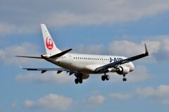 JAL 529
