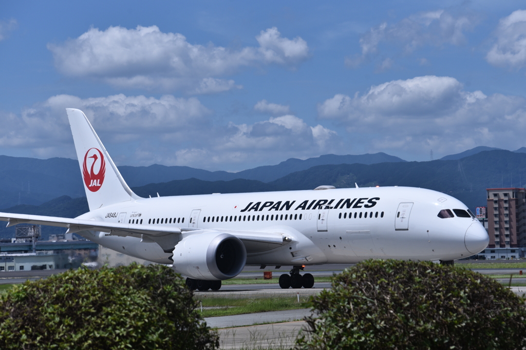 JAL 977