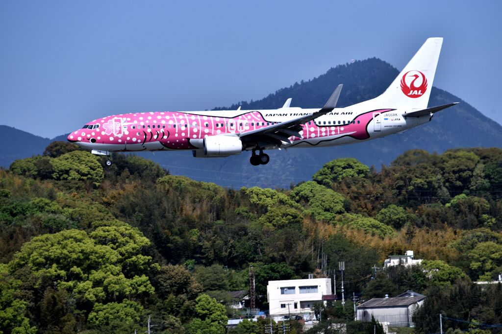JAL 579