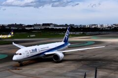 ANA 983