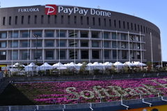 FUKUOKA    PayPayDome　06