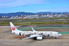 JAL 335  （特別塗装機）
