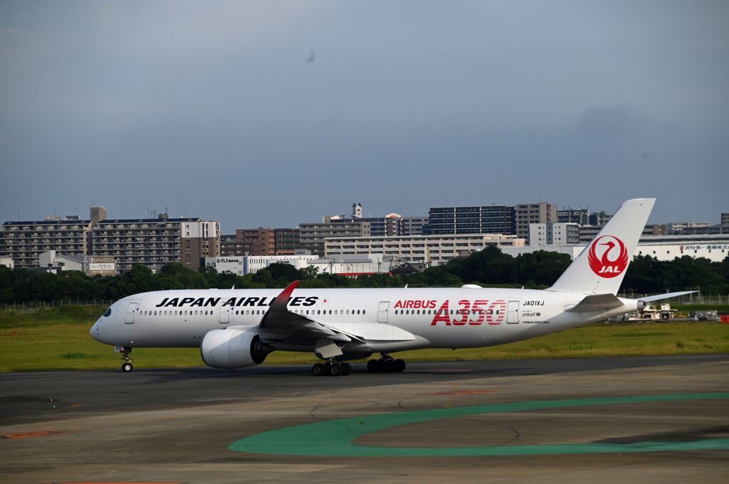 JAL 1324