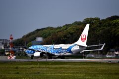 JAL 1290