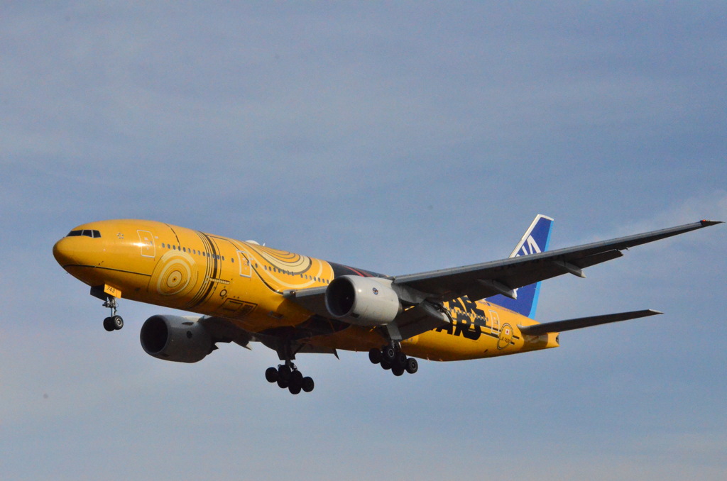 ANA 821
