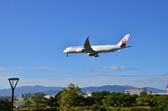 JAL 317