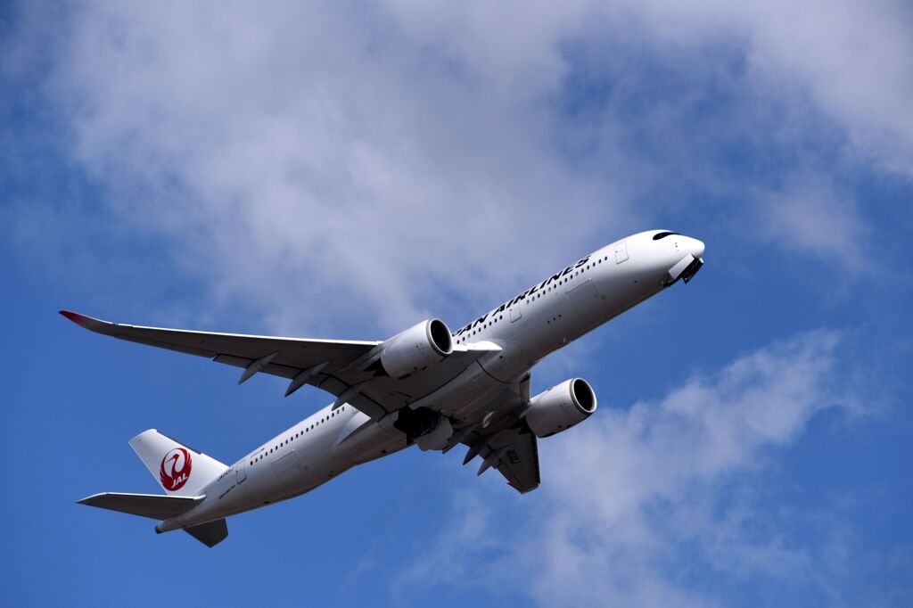 JAL 1239