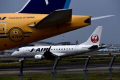 JAL 1325