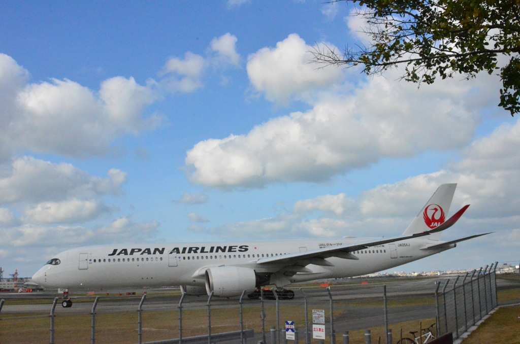 A350 JAL 26