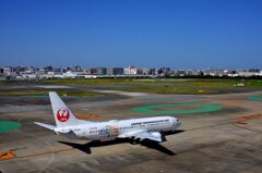 JAL 306