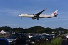 JAL 1116