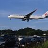 JAL 1116