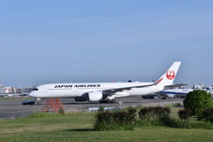 JAL 599