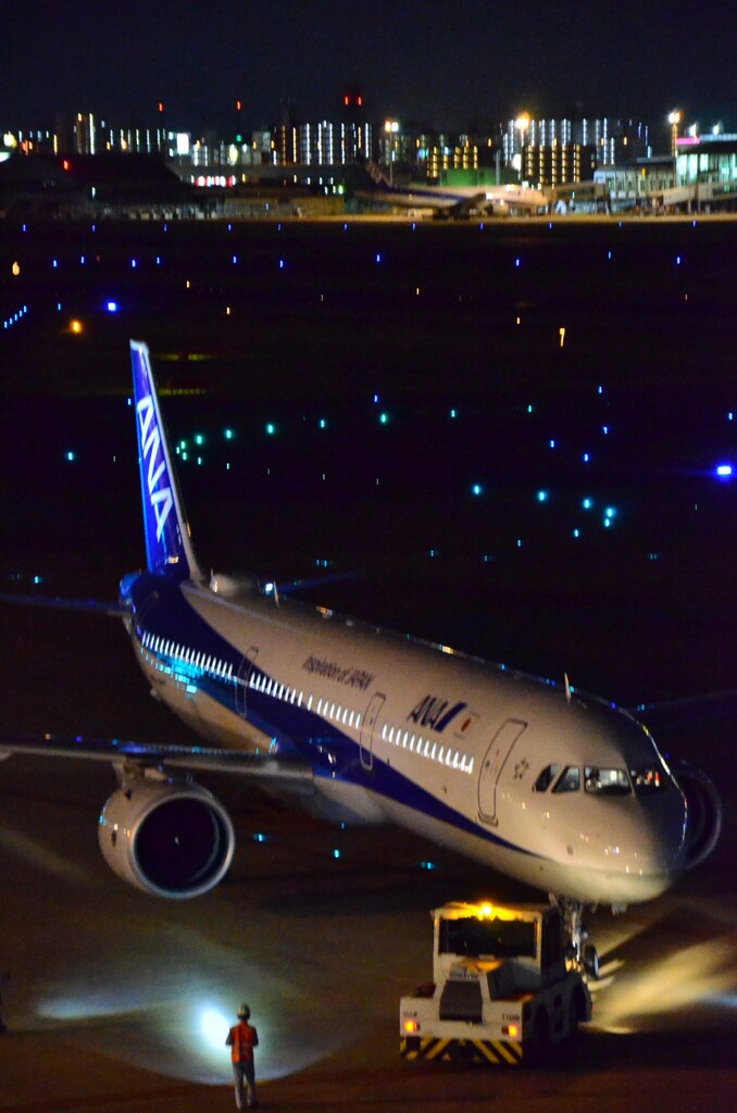 ANA 289