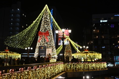 「イルミ2025」03