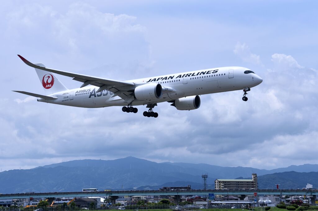 JAL 815