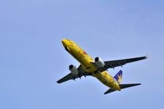 五輪旗・黄        SKY 62