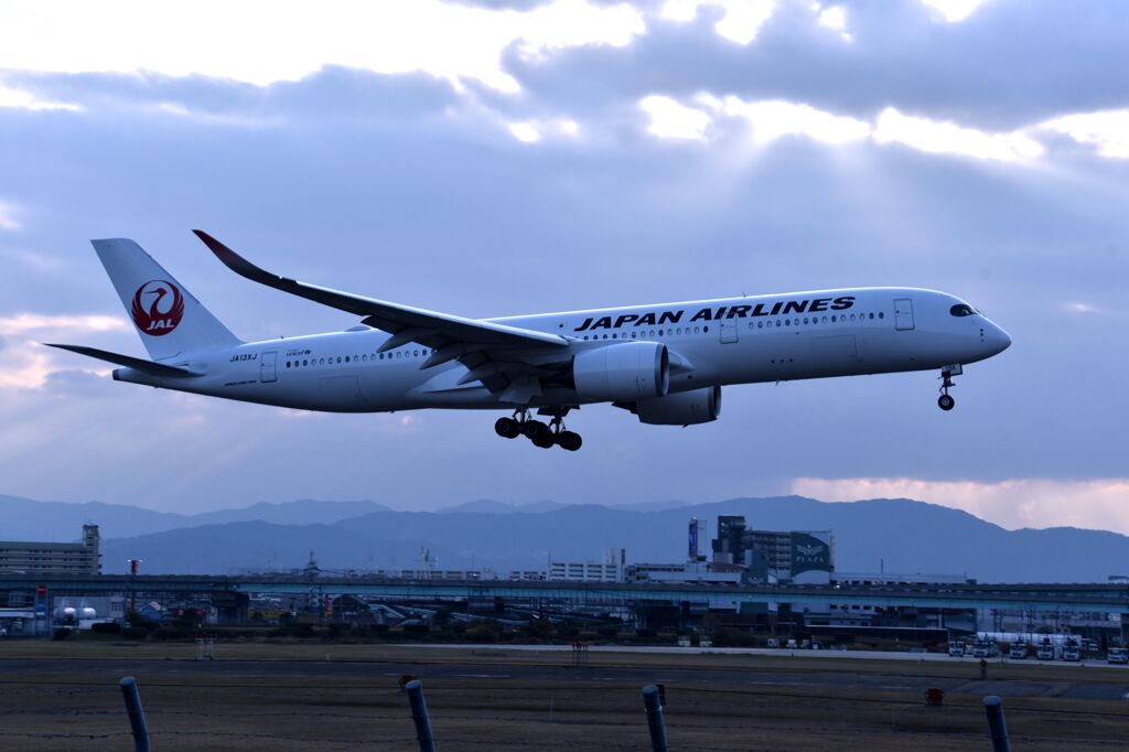JAL 769