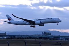 JAL 769