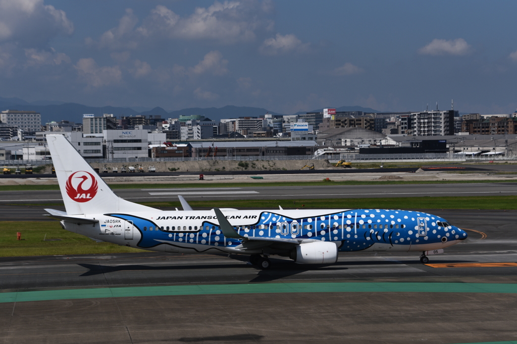 JAL 1251