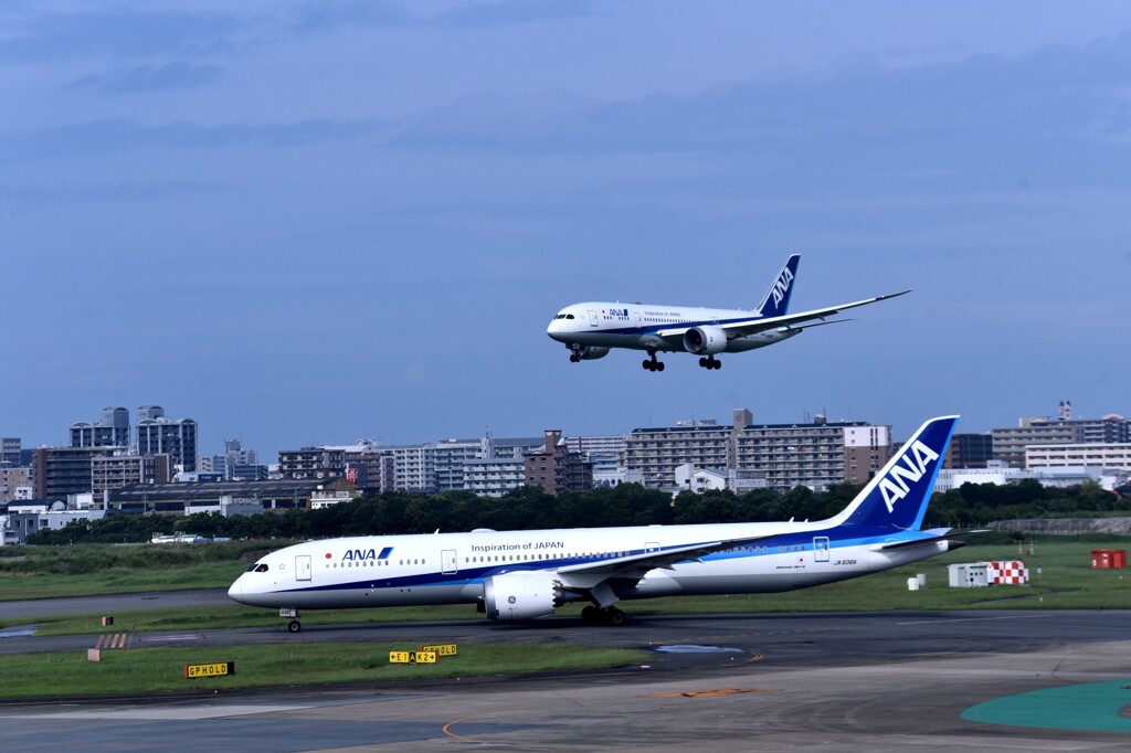 ANA 954