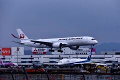 JAL998
