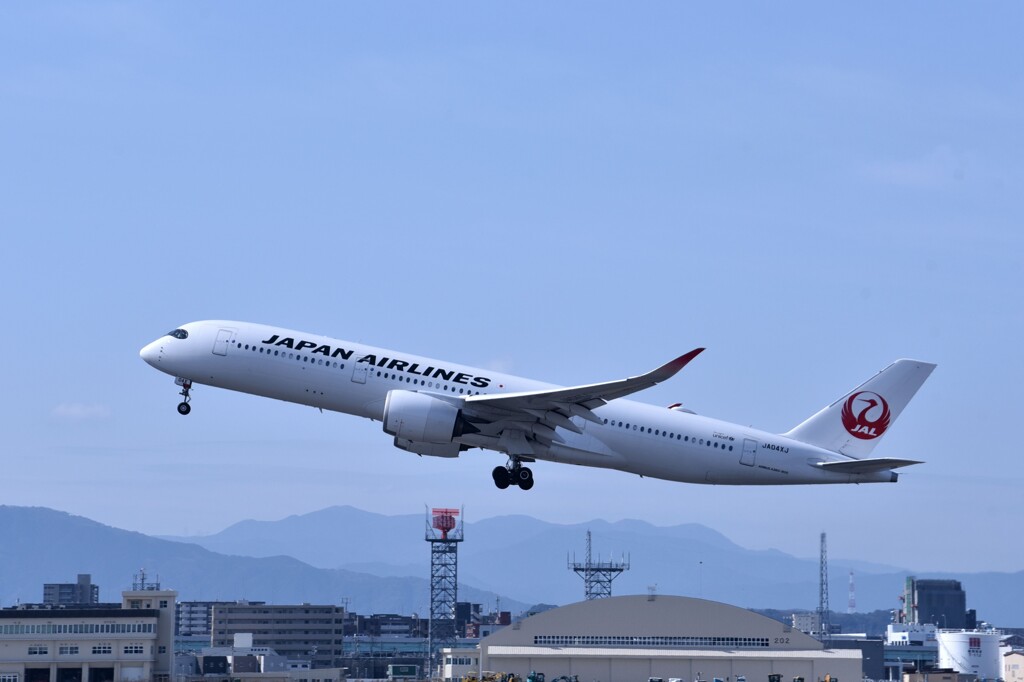 JAL 825