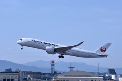 JAL 825