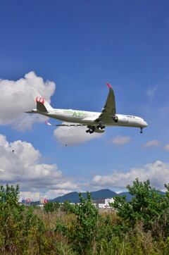 JAL 220