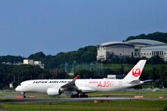 JAL 41