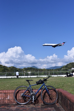 ANA 858