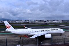 JAL 1132