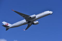 JAL 774