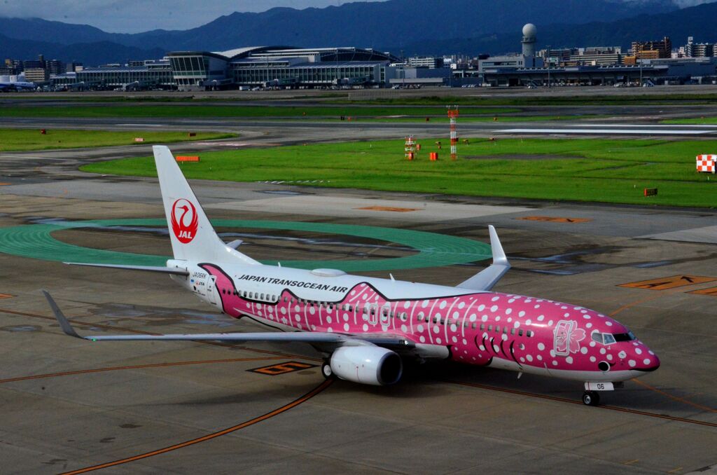 JAL 566