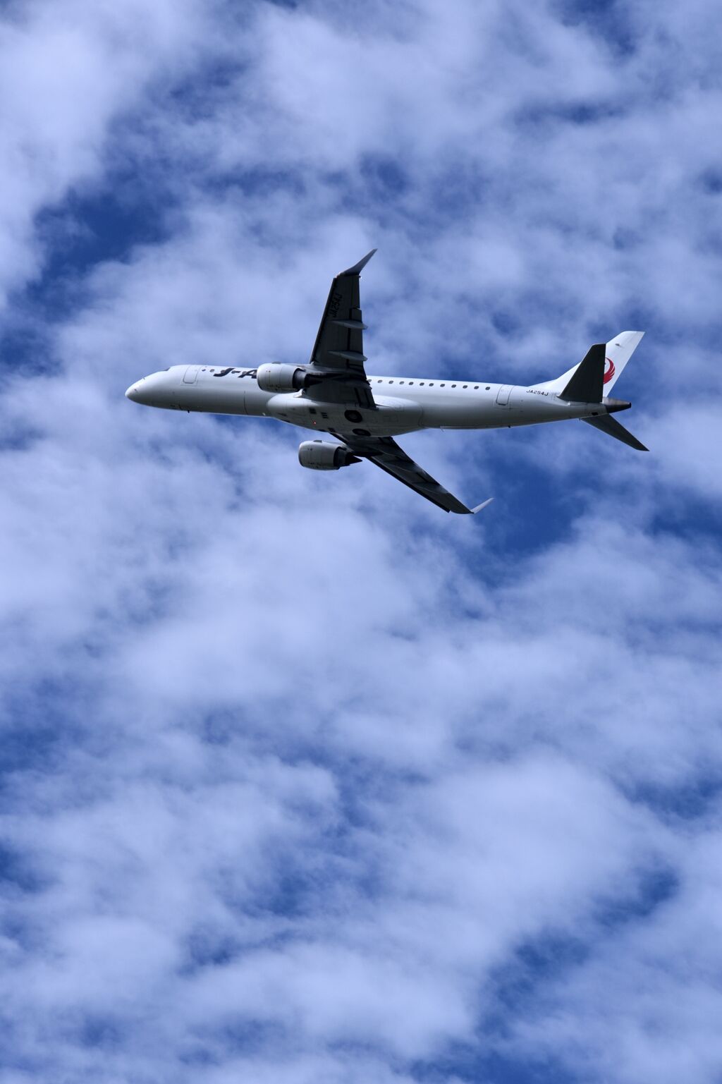 JAL 1055
