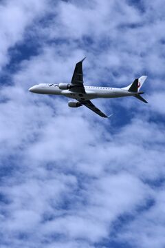 JAL 1055