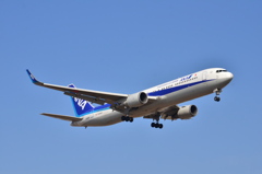 ANA 437