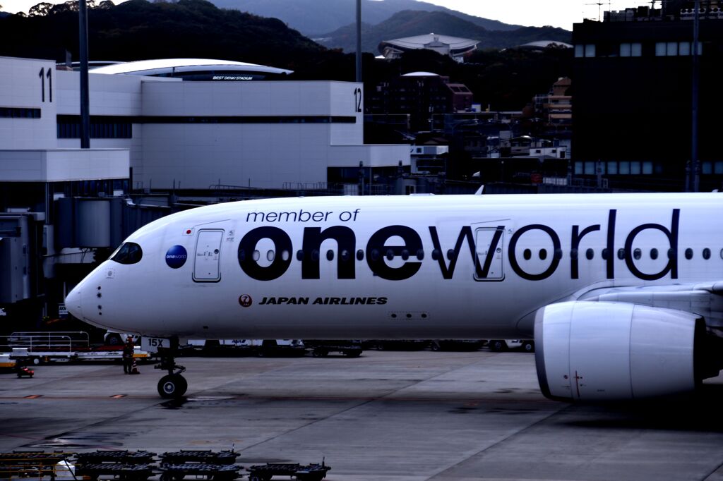 JAL 1089