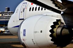 ANA 454