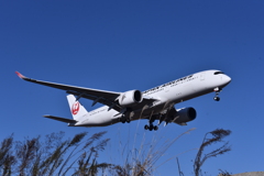 JAL 1111